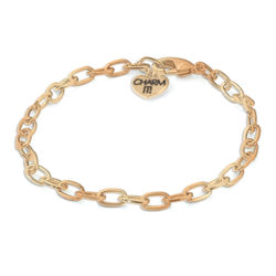 Charm It! Gold Tone Chain Bracelet CIB100-G